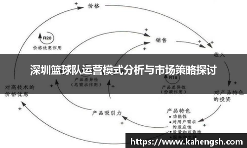 深圳篮球队运营模式分析与市场策略探讨